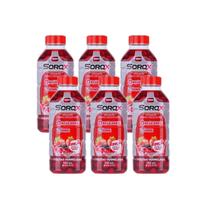 Pack 6 Sorox hidratante sabor frutas vermelhas 550mL