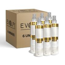 Pack 6 un - level spray anti frizz 300ml - evolpy liss Pack 6 un - level spray anti frizz 300ml - evolpy liss