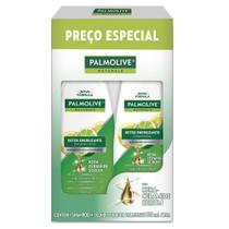Pack Shampoo e Condicionador Palmolive Naturals Detox 350ml