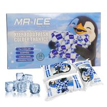 Packs de Hielo Seco MR.ICE para Neveras y Loncheras, Paquete de 24 Packs de Hielo Seco MR.ICE para Neveras y Loncheras, Paquete de 24
