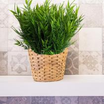 Pacote 10 buques folhagem Folhagem Artificial p parede verde artesanato arranjos preço de Atacado