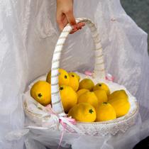 Pacote 15 Limões siciliano Amarelo fruta Artificial 10cm Elegante Durável Direto do Distribuidor - DE0223 Pacote 15 Limões siciliano Amarelo fruta Artificial 10cm Elegante Durável Direto do Distribuidor - DE0223