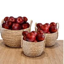 Pacote 18 Frutas Maçã Artificial para Cenografia Mais Duráveis e Fáceis de Cuidar - DE0523