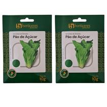 Pacote 2 Unidades de Sementes de Almeirão Pão de Açúcar Hortas e Estufas