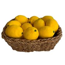 Pacote 20 Limões siciliano Artificial 10cm Parece Real p arranjo de frutas artificiais preço atacado