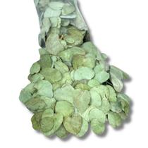 Pacote 200 Folhas de Eucalipto Soltas Seca Natural Selo Convite Verde Pacote 200 Folhas de Eucalipto Soltas Seca Natural Selo Convite Verde