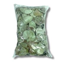 Pacote 200 Folhas de Eucalipto Soltas Seca Natural Selo Convite Verde Pacote 200 Folhas de Eucalipto Soltas Seca Natural Selo Convite Verde