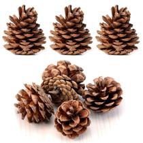 Pacote a granel de pinecones YEXPRESS Natural Wood, pacote com 24