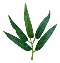 Pacote Com 100 Folhas De Bambu Artificiais Decoração Bamboo Artesanato