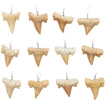 Pacote com 12 pingentes de dente de tubarão Charm Bright Creations, 2x2,5 cm