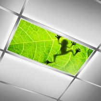Pacote com 2 capas de luz fluorescente ZAQIO Frog Magnetic Pacote com 2 capas de luz fluorescente ZAQIO Frog Magnetic