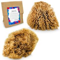 Pacote com 2 esponjas marinhas Artist Sea Sponges NAROA Natural para pintura