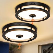 Pacote com 2 lâmpadas de teto externas Slypadan 12"