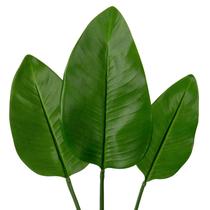 Pacote com 3 folhas artificiais de Bird of Paradise DILATATA para vaso