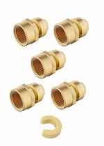 (Pacote com 5) adaptadores fêmeas EFIELD Push Fit 1/2 x 3/4