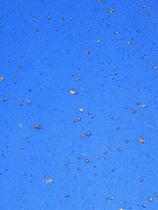 Pacote com 5 Folhas de EVA Cortiça 40x60cm Azul Brasil