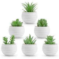 Pacote com 6 pequenas suculentas realistas Fake Plants Der Rose