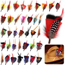 Pacote de 36 peças Hat Feathers Geosar Colorful Real Feathers