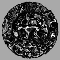 Pacote de adesivos Animal Skeleton, 50 unidades de vinil educacional Deca