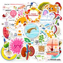 Pacote de adesivos Biological Experiment Children's Picture 50 unidades