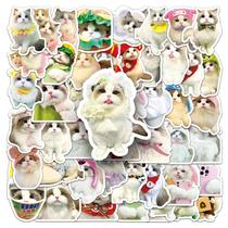Pacote de adesivos Cat, 50 peças de decalques de vinil fofos de desenhos animados para animais Pacote de adesivos Cat, 50 peças de decalques de vinil fofos de desenhos animados para animais
