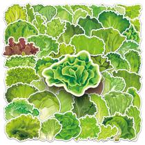 Pacote de adesivos com tema de alface, 50 unidades de vegetais de folha verde