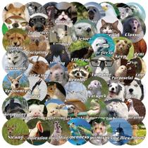 Pacote de adesivos Funny Animal Cartoon Meme Decalques de vinil x50