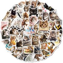 Pacote de adesivos Funny Cat, 50 unidades de meme com fantasia para artesanato de bricolage