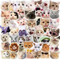 Pacote de adesivos Funny Cat Meme Face, 50 unidades de vinil impermeável