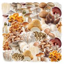 Pacote de adesivos Generic Mushroom, 50 unidades de decalques impermeáveis Pacote de adesivos Generic Mushroom, 50 unidades de decalques impermeáveis