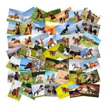 Pacote de adesivos Running Wild Horse, decalques de vinil, 50 unidades