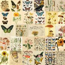 Pacote de adesivos Vintage Botanical, 50 unidades de vinil impermeável