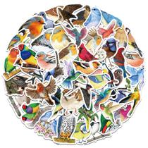 Pacote de adesivos Woodpecker Cartoon Bird Animal Vinyl 50 unidades