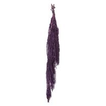 Pacote de amaranto violeta Vickerman para plantas secas com 76 cm de comprimento Pacote de amaranto violeta Vickerman para plantas secas com 76 cm de comprimento