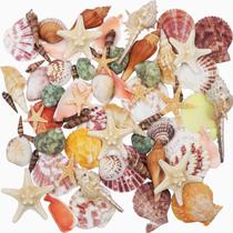 Pacote de Conchas e Caracóis do Mar (750g) Pacote de Conchas e Caracóis do Mar (750g)