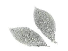 Pacote de folhas de esqueleto com 100 seringueiras NAVA CHIANGMAI Pacote de folhas de esqueleto com 100 seringueiras NAVA CHIANGMAI