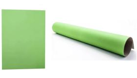 Pacote de Papel Color Set 48x66cm Verde Claro c/ 20 - Ridet