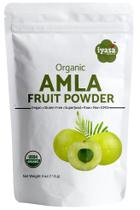 Pacote experimental orgânico de frutas Amla em pó Iyasa Holistics 112g
