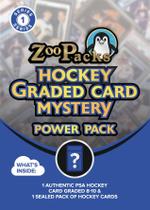 Pacote Misterioso de Cards de Hóquei Palos Designs PSA Graded 8+ Pacote Misterioso de Cards de Hóquei Palos Designs PSA Graded 8+
