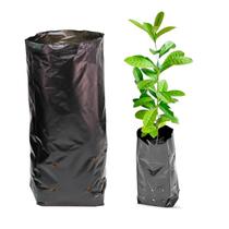 Pacote Para Mudas 8x15 Saquinho Plantas Erva Café Maracuja