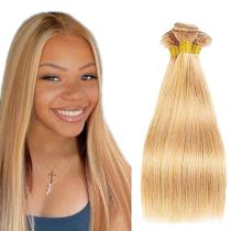 Pacotes de cabelo Fridnae P27613 Highlight Straight 35-45cm