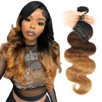Pacotes de cabelo QTHAIR Ombre Body Wave 100% brasileiro 100g 24cm