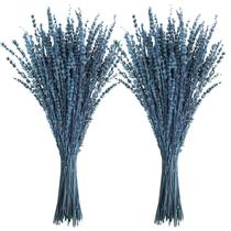Pacotes de conservas de flores secas de lavanda Uieke 100g
