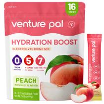 Pacotes de eletrólito em pó Venture Pal Hydration 16 Sticks