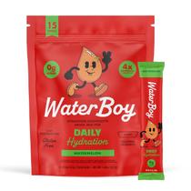 Pacotes de eletrólito em pó Waterboy Daily Hydration 15x15ml