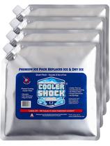Pacotes de gelo Cooler Shock para refrigerador reutilizável de longa duração