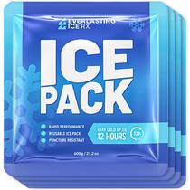 Pacotes de gelo Everlasting Ice RX Rapid Performance, pacote com 4, 600 g