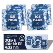 Pacotes de gelo Everlasting Ice RX Rapid Performance, pacote com 4