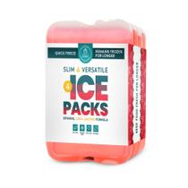 Pacotes de gelo Healthy Packers reutilizáveis para lancheiras (conjunto de 4)