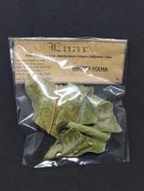 Pacotinho Folha de manga